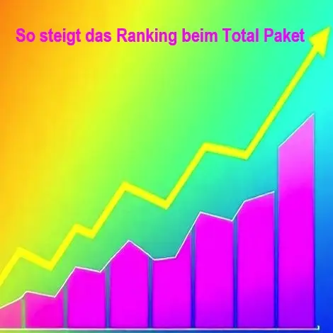 SEO Total Paket - Erfolgsdiagramm